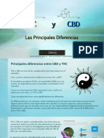 THC & CBD - Las Principales Diferencias