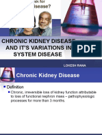 Kidney Disorder in System Diseases - The Main in Diagnostic
