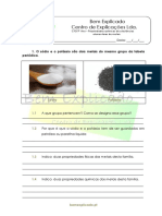 C.2.3 - Propriedades Químicas de Substâncias Elementares de Metais - Ficha de Trabalho