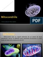Mitocondriile