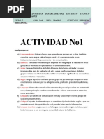 Actividad No1 Español