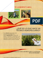 Producción AGROPECUARIA Informe