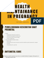 Health Maintainance in Pregnancy