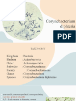 Corynebacterium Diphteria: Amanda Diannisa Tutor 6