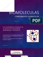 1 Biomoleculas