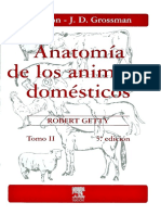 Anatomía Getty Vol II