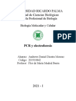 5 Informe de Laboratorio - PCR y Electroforesis