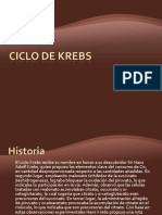 Ciclo de Krebs - Pptrafael