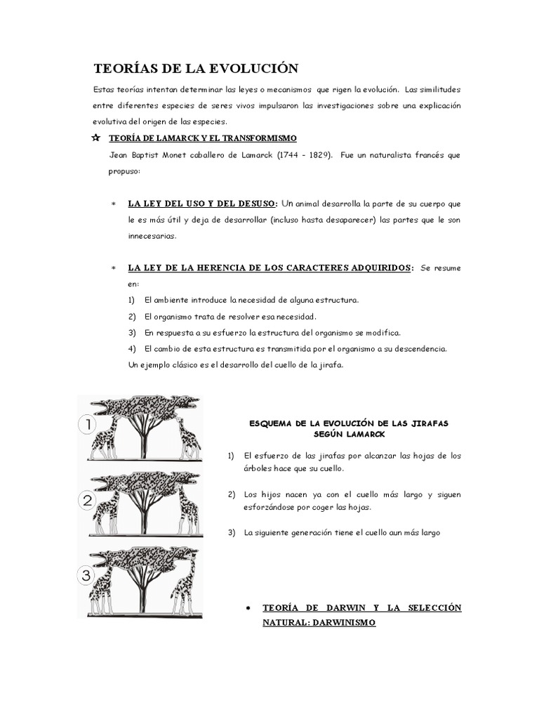 TEORÍAS DE LA EVOLUCIÓN Lamarck Darwin | PDF | Evolución | Seleccion ...