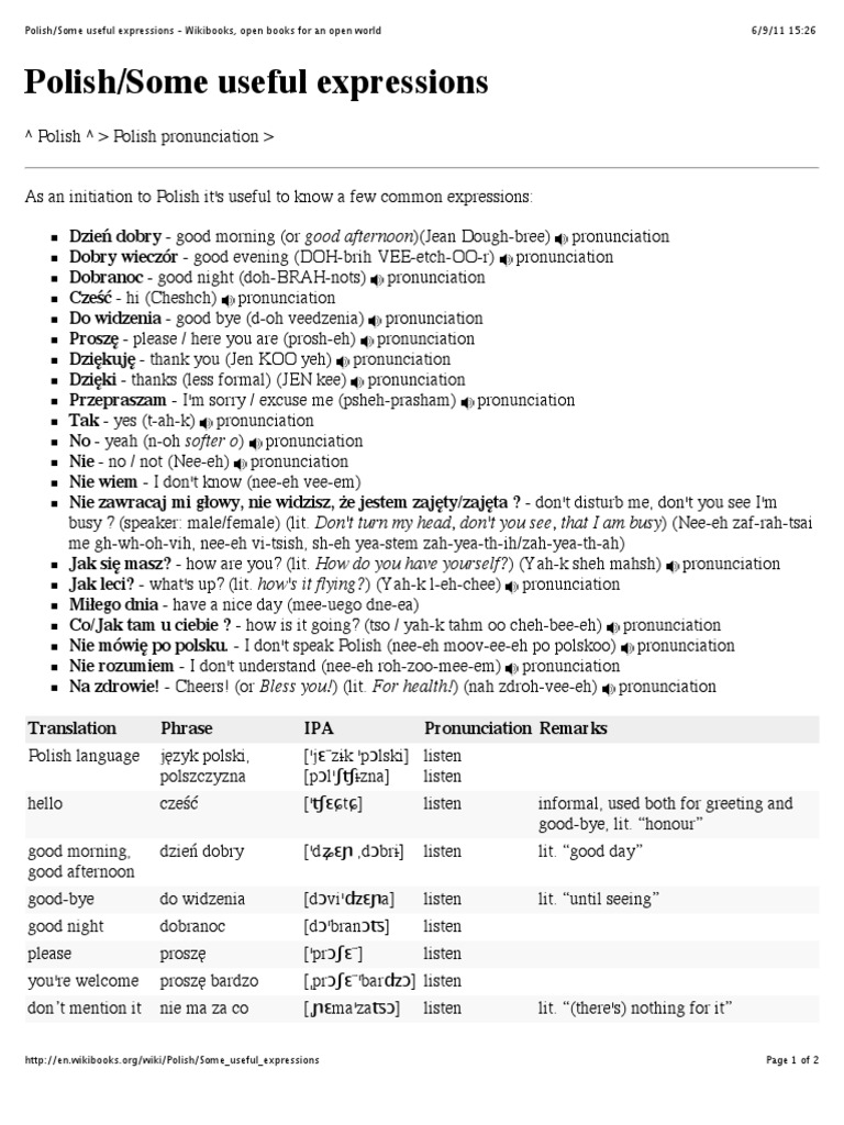 Essential Polish Phrases With Pronunciation PDF Human Communication 