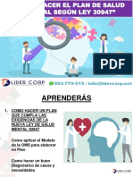 COMO HACER UN PROGRAMA DE SALUD MENTAL Y EMOCIONAL 28 Mayo