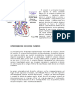 El Corazón Es Un Órgano Muscular Que Impulsa de Forma Constante Sangre Rica en Oxígeno Al Cerebro y Las Extremidades