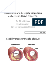 Stabil Koronária Betegség Diagnózisa És Kezelése. Rizikó Felmérés