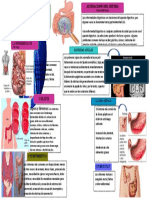 INFOGRAFIA SINTOMAS Y SIGNOS APARATO DIGESTIVO