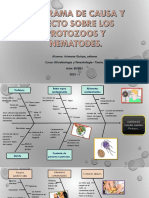 Diagrama de Causa y Efecto Protozoo y Nematode.