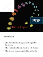 The Cell Cycle: Reproduction, Growth and Repair