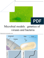 Microbial Models: Genetics of Viruses and Bacteria