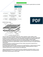 10.1. Exercícios de Revisão e Fixação