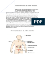 Generalidades Partes y Funciones Del Sistema Endocrino