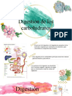 Digestión de Carbohidratos y Absorción de Glucosa