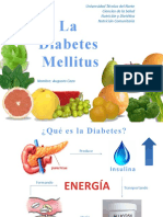 Diabetesmellitus 3