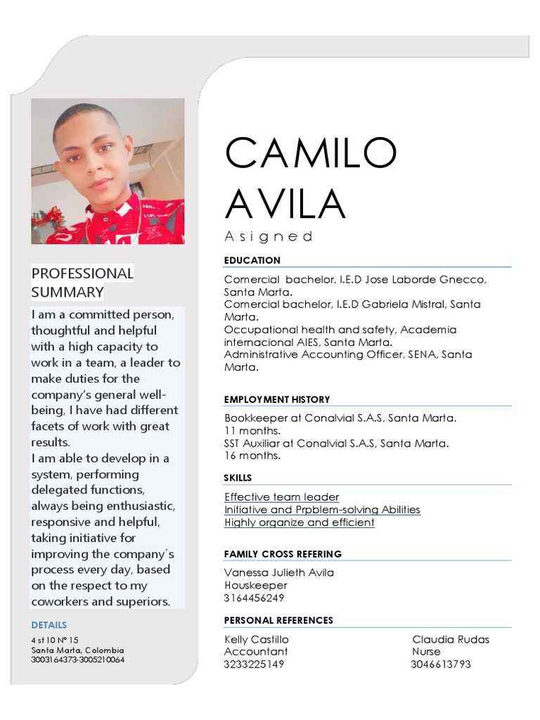 Hoja de Vida en Ingles PDF