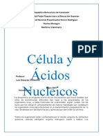 Célula y Ácidos Nucleicos.