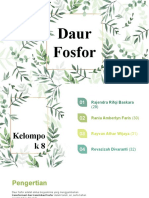 Daur Fosfor Kelompok 8