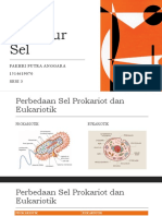 Tugas Struktur Sel - Fakhri Putra Anggara - Sesi 3