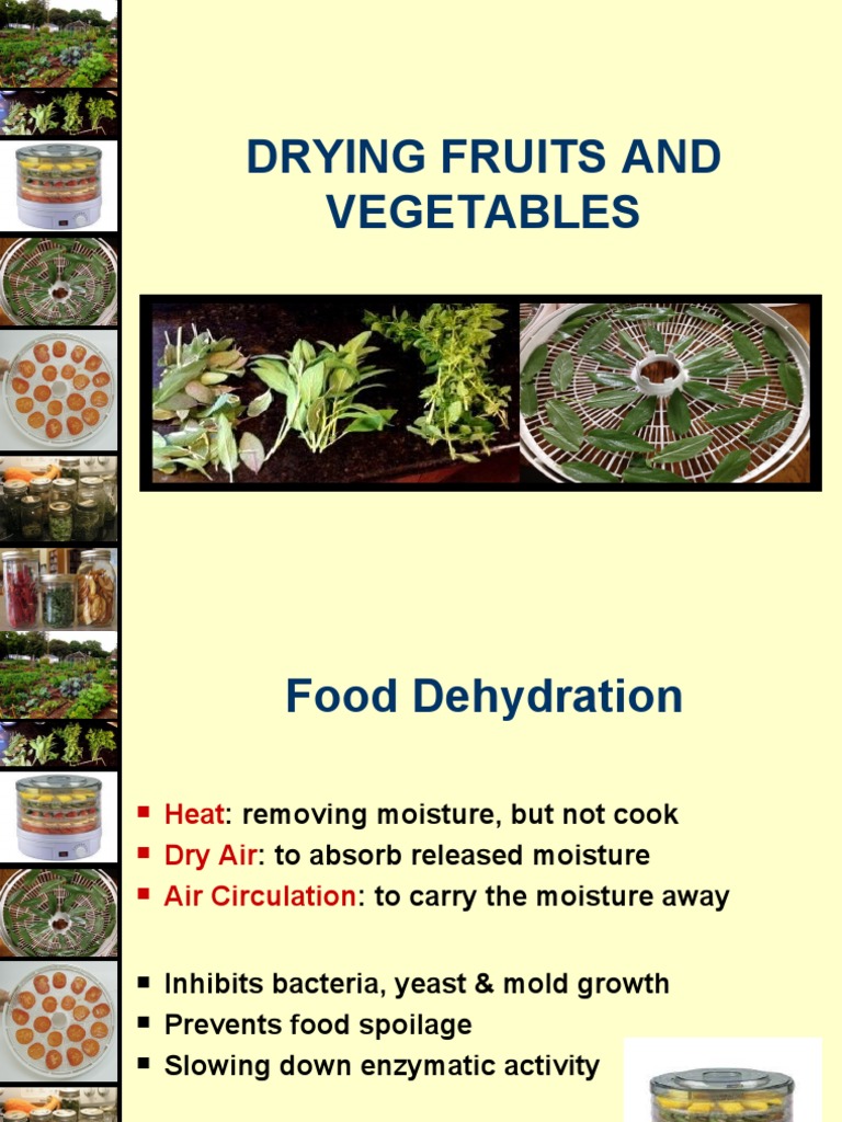 Drying Fruits and Vegetables PDF Dried Fruit Foods