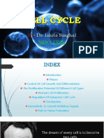 Cellcycle-190703053908