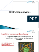 Restriction Enzymes Cut DNA at Specific Sites