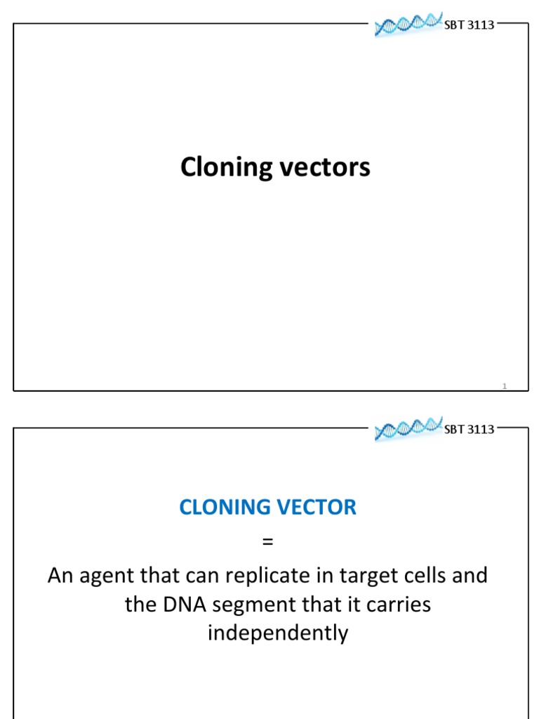 Lecture 5 and 6 BGE - Cloning Vector | PDF | Plasmid | Molecular Cloning