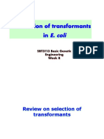 Selection of Transformants: E. Coli