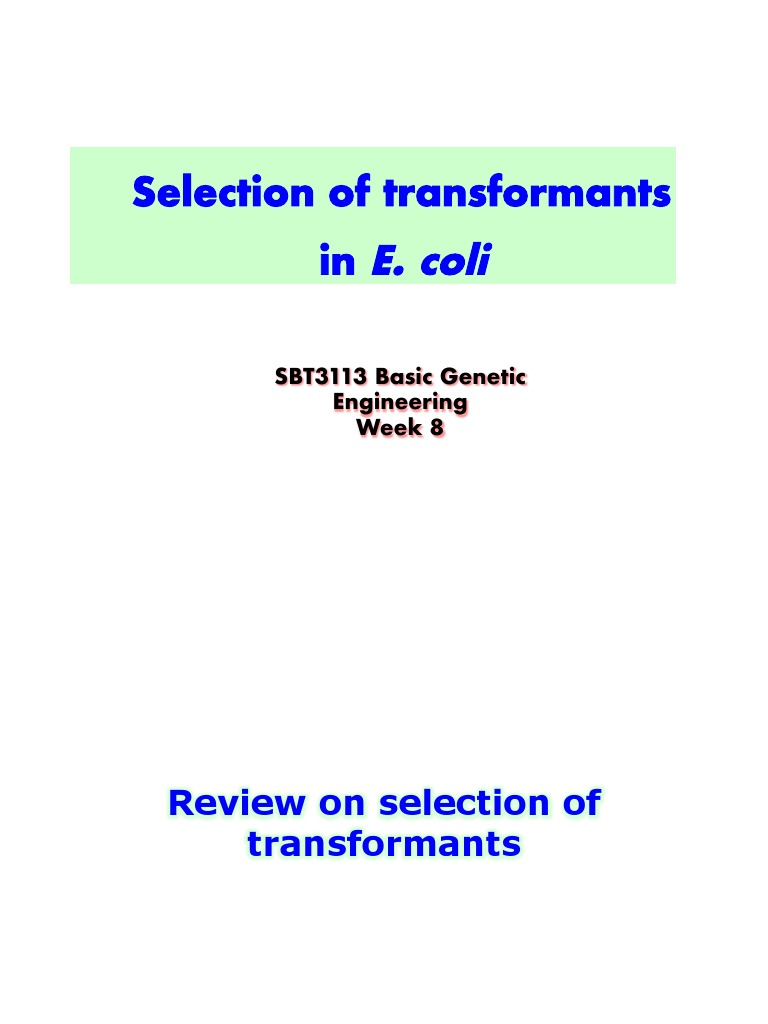 Selecting Transformants in E. coli | PDF | Molecular Cloning | Plasmid