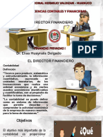 Director Financiero