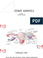 Anatomi Adnexa