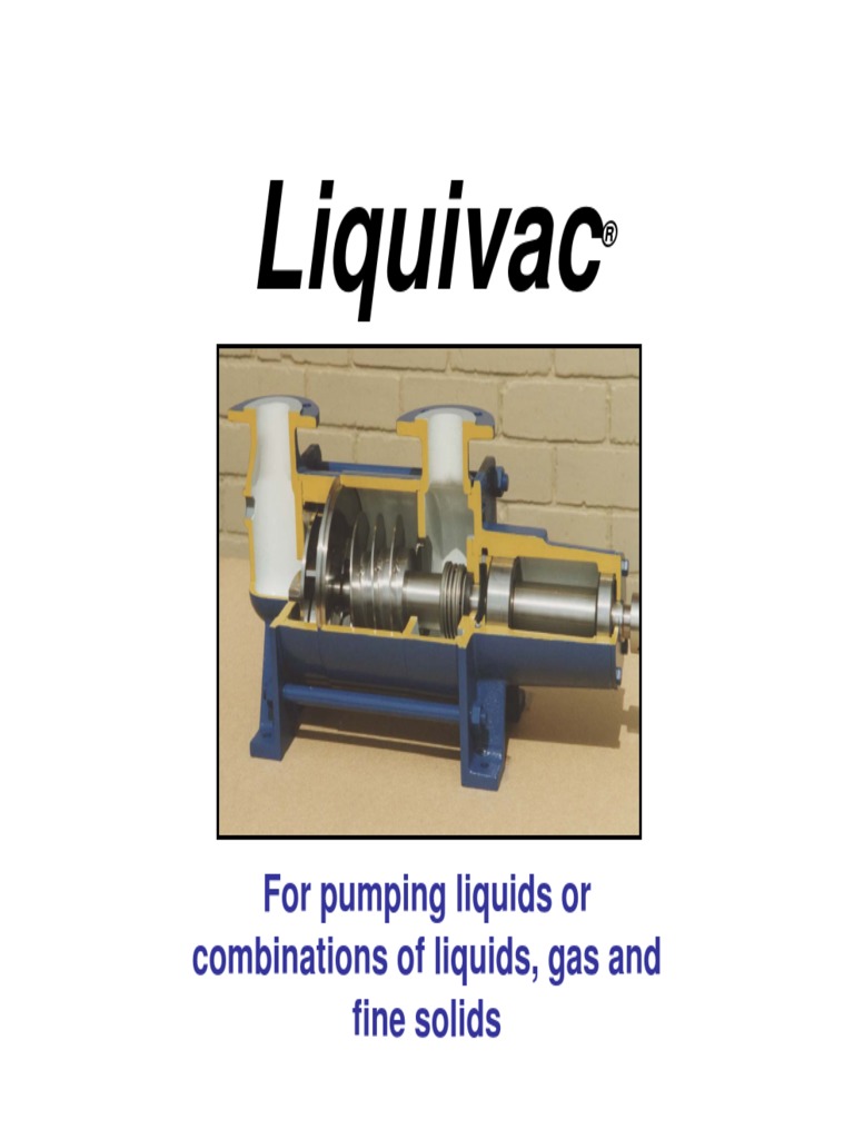 LIQUIVAC Main Presentation PDF Pump Liquids