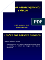 Parte 1 - Sumário - Agentes Químicos e Físicos