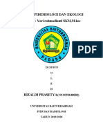 Tugas Epidemiologi Dan Ekologi 5masalah Dan 5 Solusi (Rizaldi Prasetya 19-002)