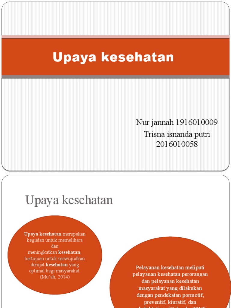 Upaya Kesehatan | PDF