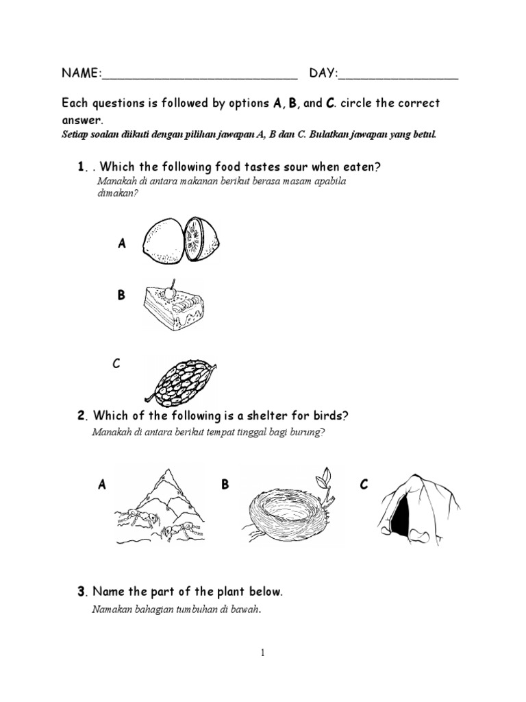 NAME DAY Each Questions Is Followed by Options A, B, and C