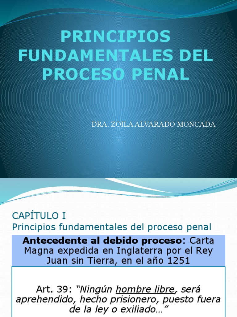 Principios del Debido Proceso Penal en Perú | PDF | Debido al proceso ...