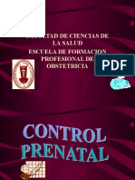 Control Prenatal2