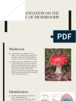 Presentation On The Topic of Mushrooms