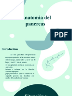 Generalidares Del Pancreas