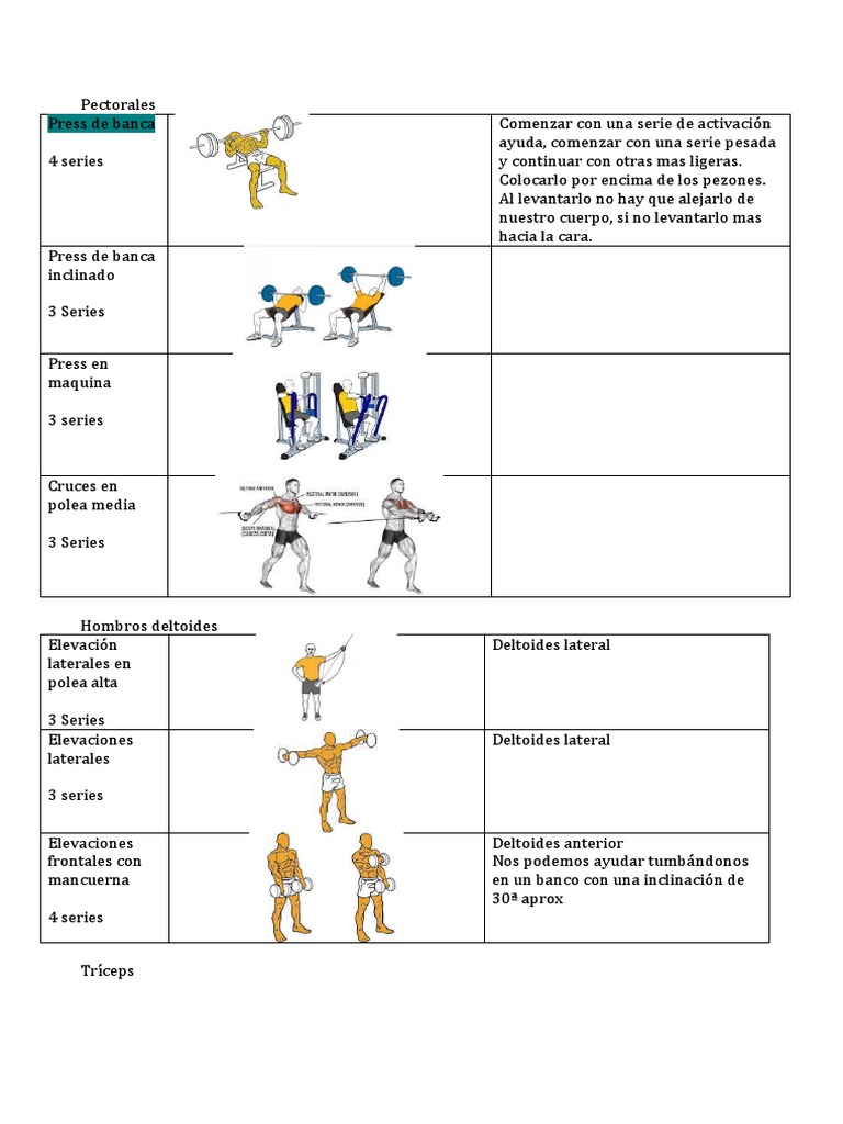 Rutina de Ejercicios para Cuerpo Completo | PDF | Anatomía humana ...