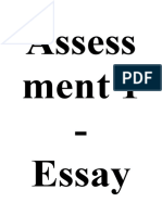 Assess Ment 1 - Essay