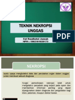 Teknik Nekropsi Unggas: Cut Raudhatul Jannah NPM: 1902101020173