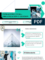 Gestion e Infraestructura. - Organización y Gestion